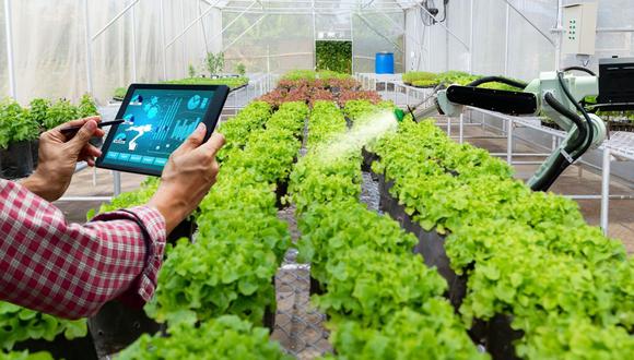 Alimentación y tecnología: IA y robots contra el hambre y la huella ecológica
